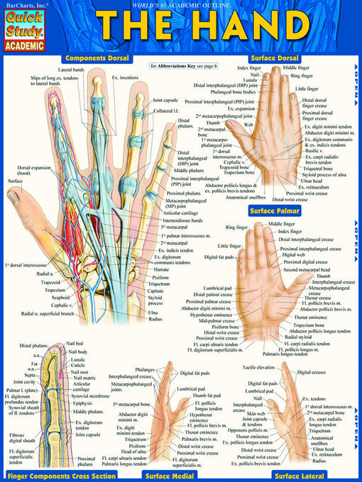 Title details for The Hand by BarCharts, Inc. - Available